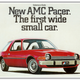 Illustration for article titled I Need To Be Straight With You Regarding My Thoughts On AMC Pacer Grilles